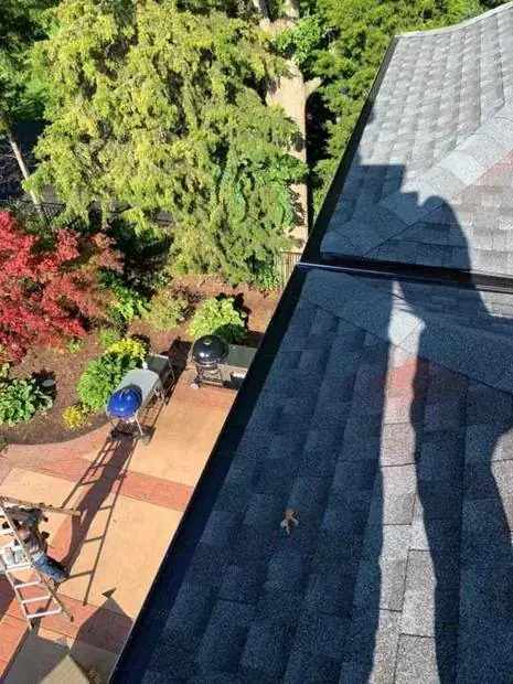 Leaf guard installed on a gutter to keep leaves out